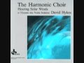 David Hykes (& the harmonic choir) - Gravity Waves