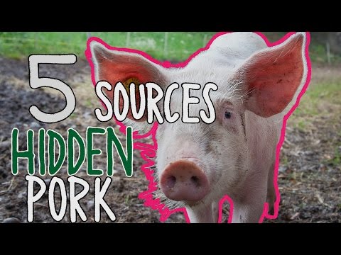 download lagu mp3 mp4 Is Yellow 5 Pork, download lagu Is Yellow 5 Pork gratis, unduh video klip Is Yellow 5 Pork