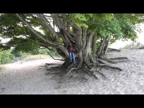 Michael Telapary plays flute in a tree