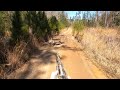 2 BUCKS DOWN Deer Hunting With Dogs 2024 2025 Season