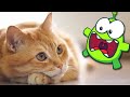 Om Nom Stories Om Nom And Kitten Funny Cartoons For Babies