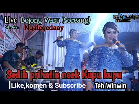 SEDIH PRIHATIN NAEK KUPU KUPU-TEH WINWIN LIVE SOREANG (Genjlong music)