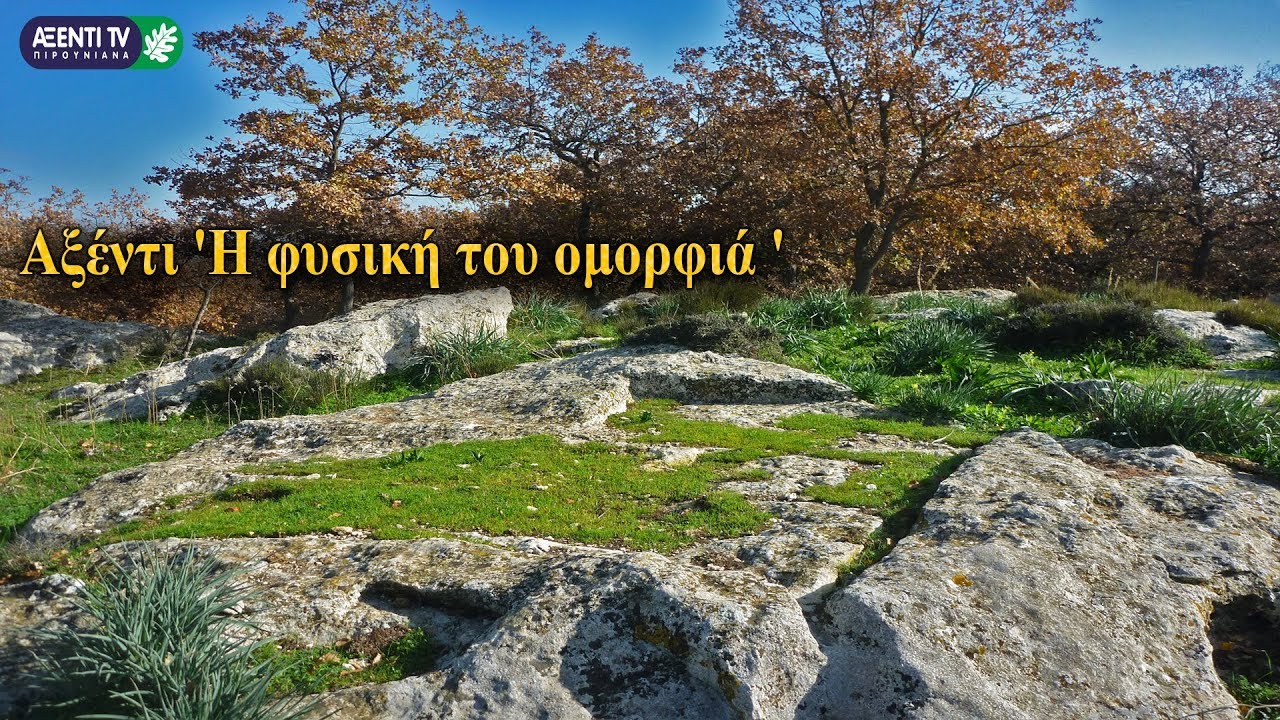 Αξέντι 'Η φυσική του ομορφιά ' | Φωτογραφικό υλικό...Πιρουνιανά Αγίας Βαρβάρας