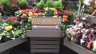preview picture of video 'Homestead Gardens Fall Fest'