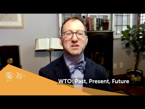 WTO at 25: Information Technology Industry Council (ITI)