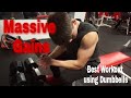 The Best Exercise/Workout using Dumbbells *GET HUGE GAINS* Our Full DB Routine