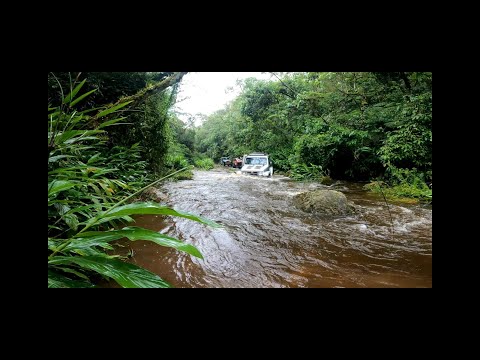 Trilha Fazenda Matarazzo - Mogi das Cruzes - SP