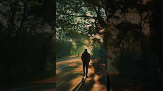 Download lagu yarai nambi nan poranthen💞 mp3