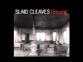 Slaid Cleaves - Another Kind of Blue