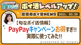 【旬なポイ活情報】PayPayキャンペーンお得すぎ!!ちゃんりえポイ活記録をラジオ風にお届け★