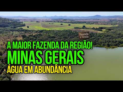 A MELHOR E MAIOR FAZENDA À VENDA EM MINAS GERAIS DANDO RENDA