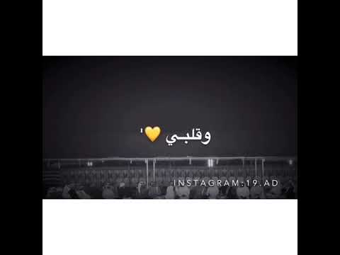 mrooy18’s Video 147623409054 vmDGXcrdPi8