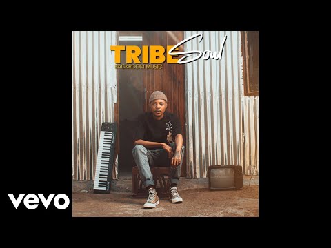 Tribesoul - Woza Cartel (Official Audio) ft. LowBass Djy, HouseXcape