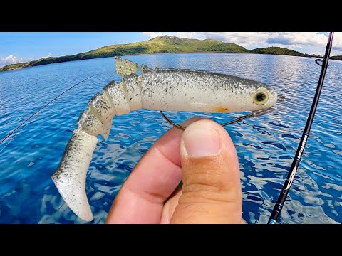 We Found Island Gold