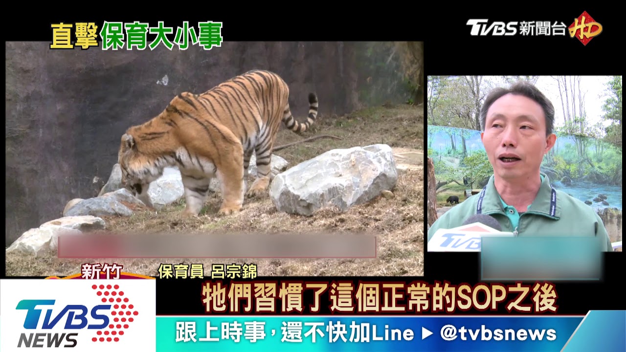 用食物培養默契 動物園保育工作大揭密