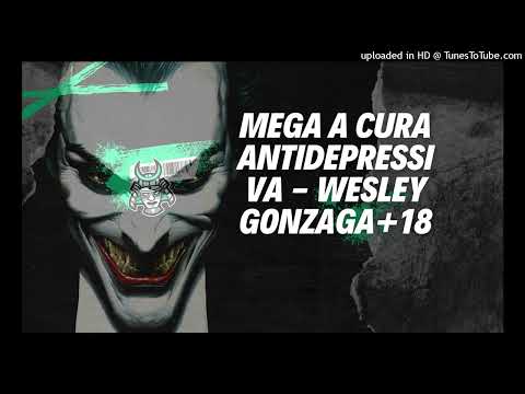 MEGA A CURA ANTIDEPRESSIVA - WESLEY GONZAGA