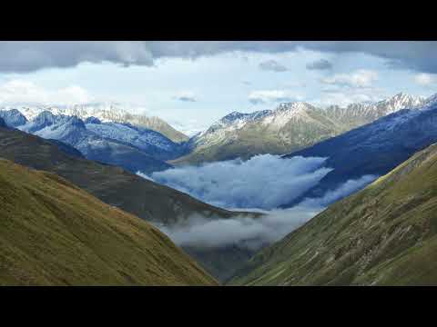 trish stratus vs lacey Evans