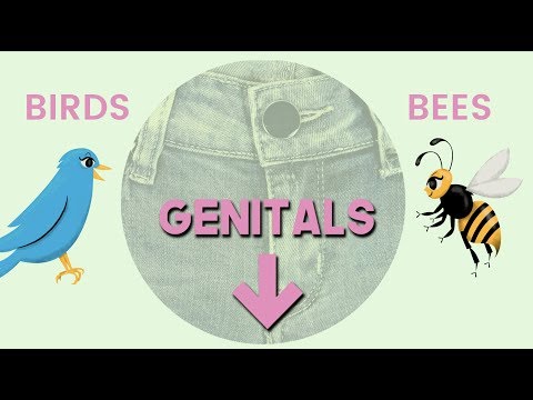 The Birds & The Bees Explained