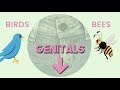 The Birds & The Bees Explained