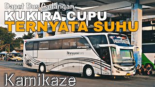 Download lagu FIX SEMUA BUS PURNAYASA EMANG PELARI‼️ #mlakumlayu #purnayasa mp3 Download lagu FIX SEMUA BUS PURNAYASA EMANG PELARI‼️ #mlakumlayu #purnayasa mp3
