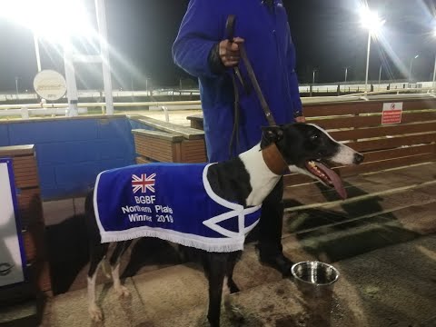 Witton Derecho - 2019 BGBF Northern Plate Final