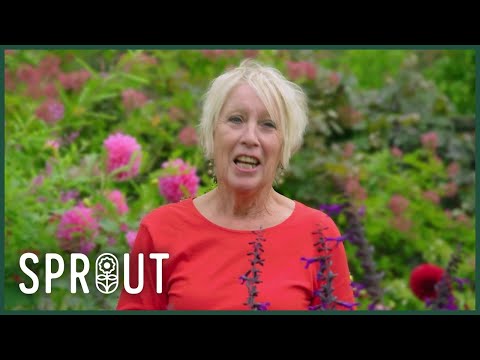 Plastic Pot - George Partner