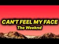 The Weeknd Can T Feel My Face Lyrics