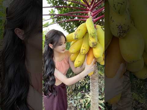 Come pick fruits this summer. Is there anything you want to pick #fruit #agriculture