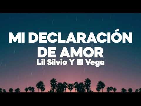 Mi Declaración De Amor -   Lil Silvio Y El Vega - Letra