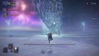 マリス戦_レベル1縛りマルチプレイ攻略 ELDEN RING NIGHTREIGN