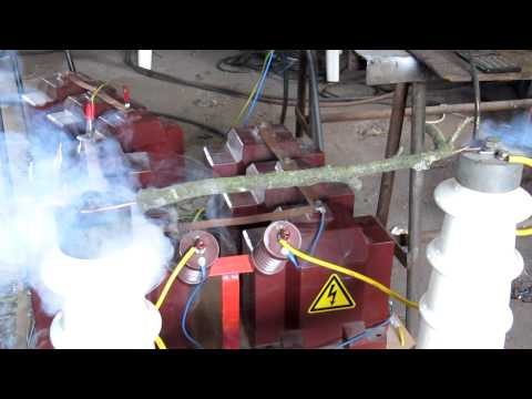 Holz Kurzschluss an 20kV tree touches power line short circuit