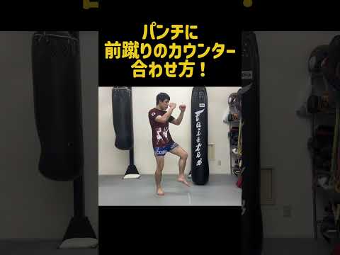 【ムエタイ式】パンチに前蹴りのカウンターを合わせる方法！