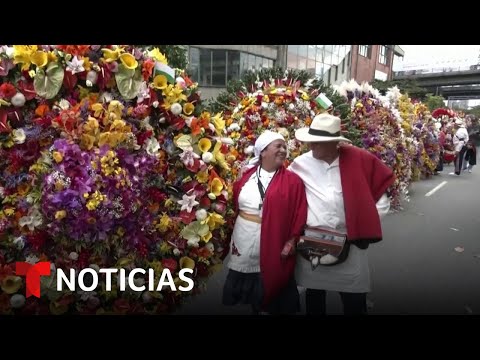 Celebran tradicional Desfile de los Silleteros en Medellín | Noticias Telemundo