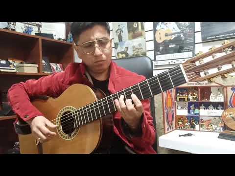 Paloma Torcaza versión  solista en Guitarra  RIBER ORE