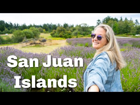 download lagu mp3 mp4 Best Places To Eat In Friday Harbor Wa, download lagu Best Places To Eat In Friday Harbor Wa gratis, unduh video klip Best Places To Eat In Friday Harbor Wa