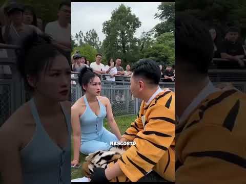 La tigre non era ciò che sembrava... Una sorprendente verità svelata!