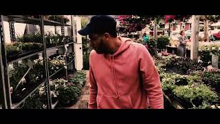 Tragic Hero &amp; Weathrman &quot;Flowers&quot; trailer
