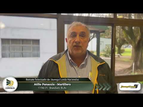 17-06-25 - Atilio Panaccio - Martillero - Remate Televisado de Jáuregui Lorda Haciendas - Brandsen
