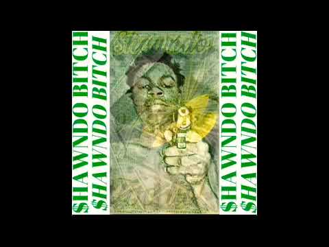 Shawndo -“Too Lit”(Official Audio)