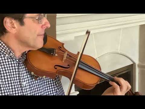 Anton Schaendl 4/4 full size violin 1830's image 10