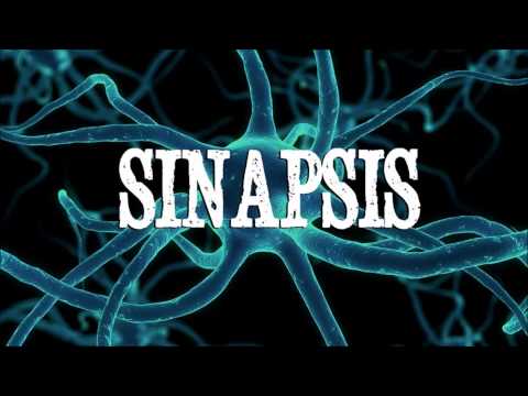 Sinapsis - Desprecio