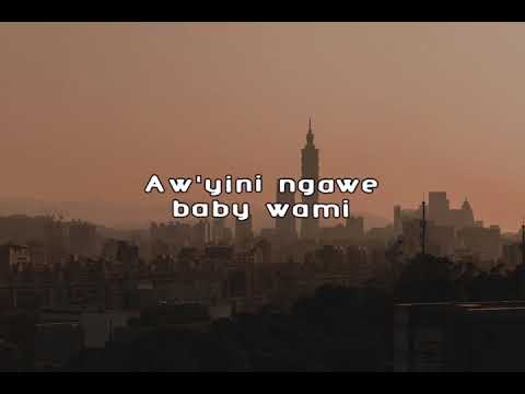 Kwiish SA-LiYoshona feat Njelic, Malumnator & De Mthuda - Lyric Video