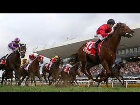 2015 BRC AAMI Stradbroike Handicap Day Feature Races