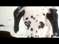 102 Dalmatiens VF Bande Annonce