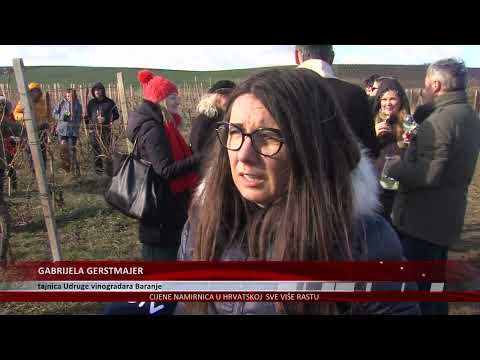 Vinceška u Baranji - na Zlatnom brdu blagoslov vina za novu vinogradarsku godinu