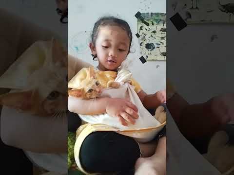 Naureen Gendong meong #shortsvideo #catshorts #naureen