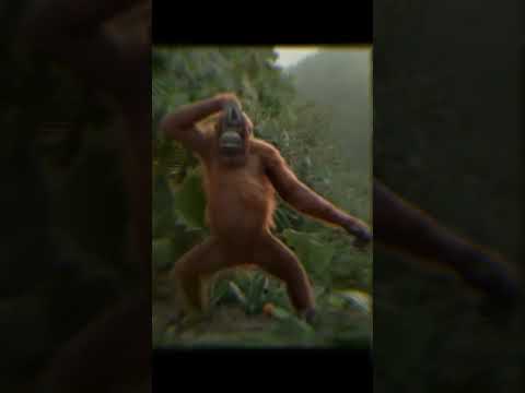 I like to move it😂😂😂