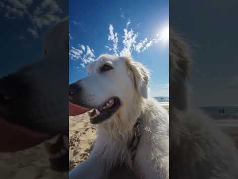 Youtube. DEEP HOUSE BR