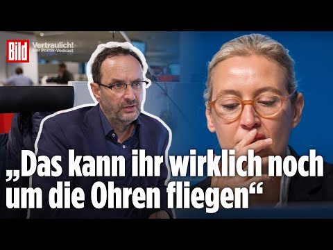 Pleiten, Pech und Pannen: AfD stolpert ins Super-Wahljahr | Vertraulich-Clips