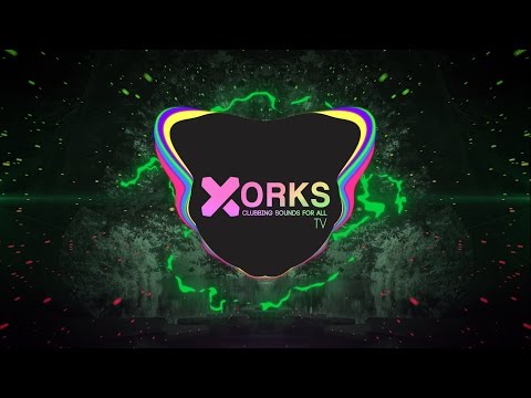 Stiekz X Nicolius - Hashi Bango